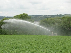 Irrigation